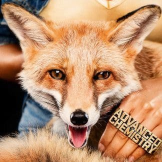 Beginner veröffentlichen Cover von „Advanced Chemistry“