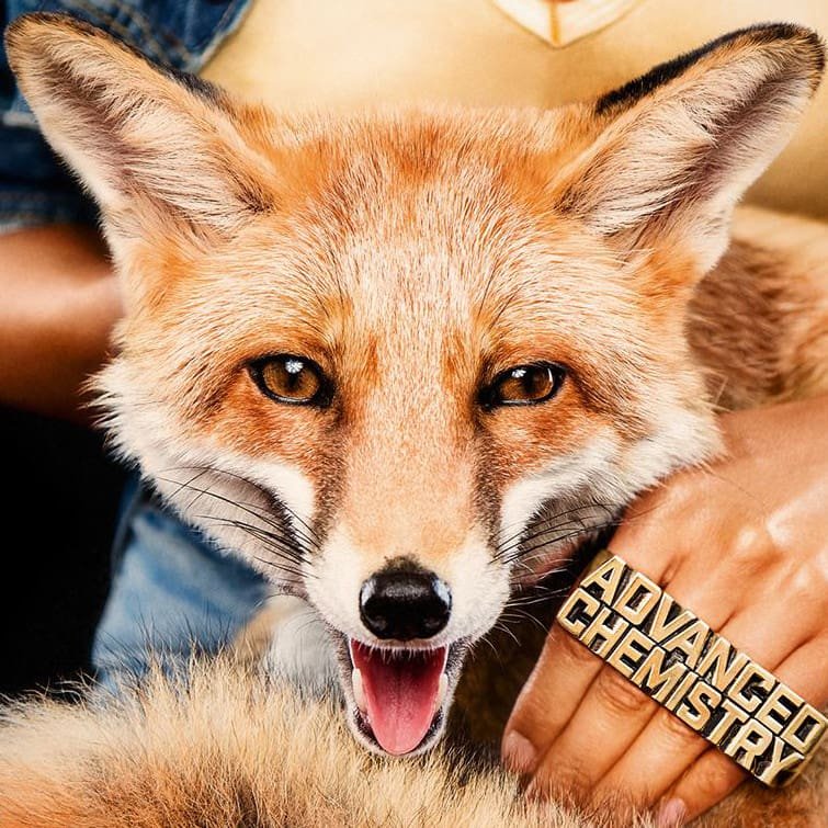 Beginner – Schelle (Hörprobe)