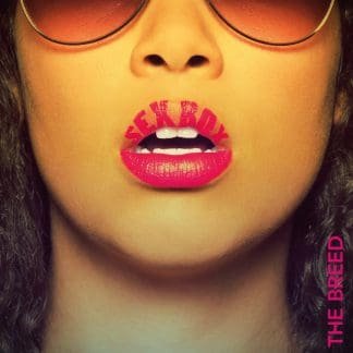 Producer The Breed kündigt neues Album „Sexbox“ an