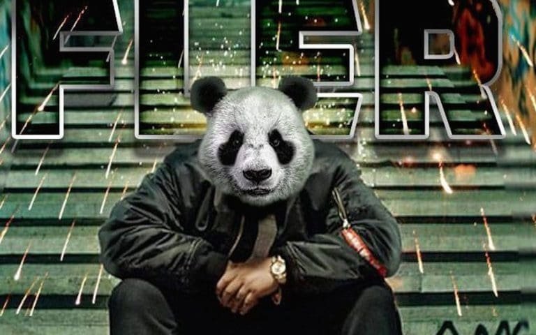 Fler rappt auf „Panda“ von Desiinger: Dr. Bootleg „Episch“ Remix