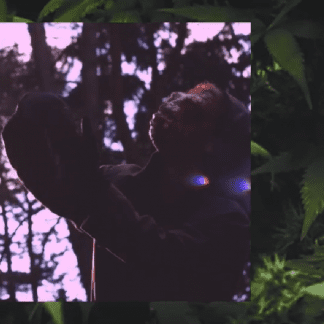 Lazy Lizzard Gang – Durch die Nacht (prod. AsadJohn)