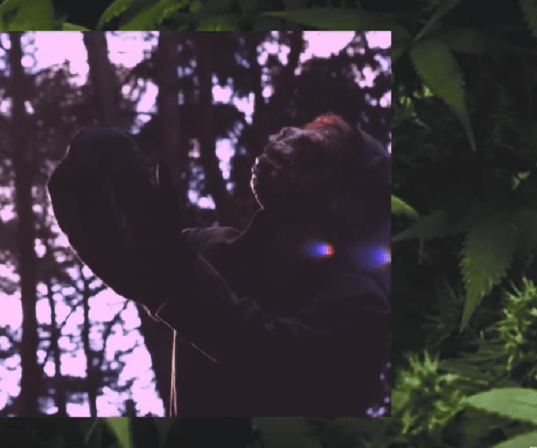 Lazy Lizzard Gang – Durch die Nacht (prod. AsadJohn)