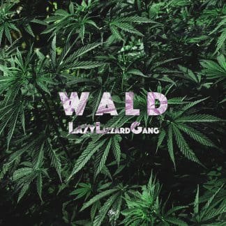 Interview mit der Lazy Lizzard Gang über ihre Intention, Produktion und zukünftige Projekte