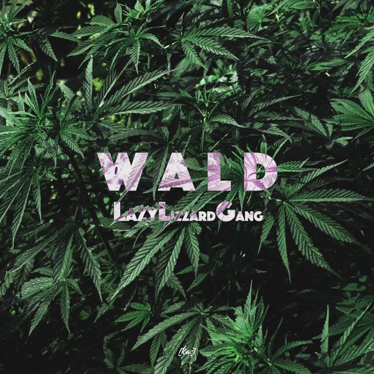 Interview mit der Lazy Lizzard Gang über ihre Intention, Produktion und zukünftige Projekte