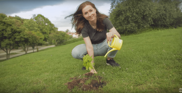 Lazy Lizzard Gang feat. Young Krillin – Grün (prod. AsadJohn) [Video]