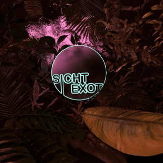 Loki feat. Eloquent – 86.7 (prod. eets)