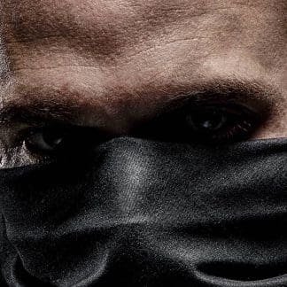 Bosca veröffentlicht das Cover von „Cobra 3“