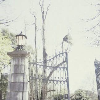 FloFilz – Taxi Bossa