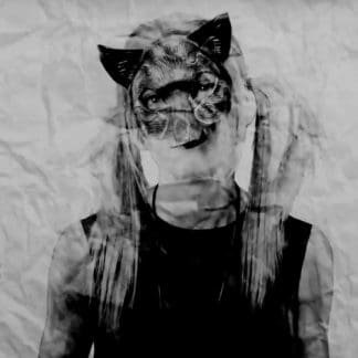 Video: Antifuchs – Leisefuchs (prod. by Rooq)