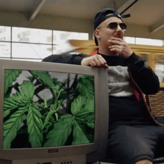 Herzog – Außen weiß, innen grün (prod. 86kiloherz)