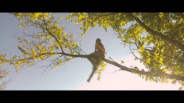 Neunfünf – Auenland