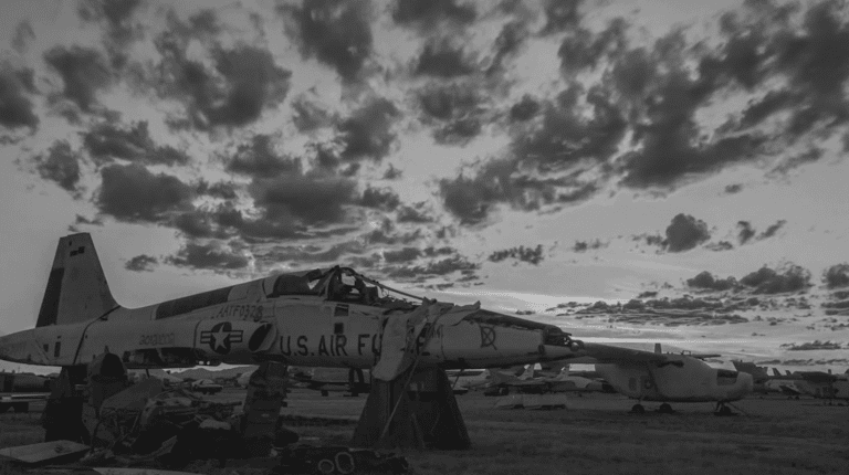 Videopremiere: Rotten Monkey feat. Flipson – Alles gesehn (prod. Heilanstalt)