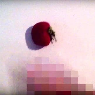 Der Täubling – Bäms